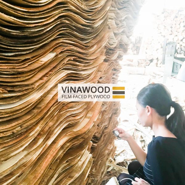 VINAWOOD-FILM-FACED-PLYWOOD-0403-4