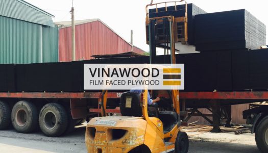 VINAWOOD-FILM-FACED-PLYWOOD-10